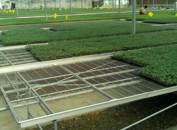 <a href='http://www.dxiqom.cn/miaochuangsheshi/199.html'target='_blank'><a href='http://www.dxiqom.cn/miaochuangsheshi/199.html'target='_blank'><a href='http://www.dxiqom.cn/miaochuangsheshi/199.html'target='_blank'>育苗床</a></a></a>.jpg