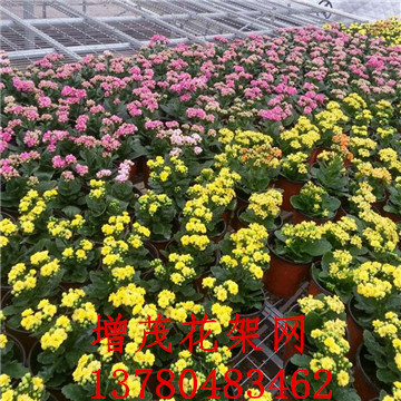 <a href='/' target='_blank'><a href='/' target='_blank'>溫室苗床</a>網</a> <a href='/' target='_blank'><a href='/' target='_blank'>溫室苗床</a>網</a>