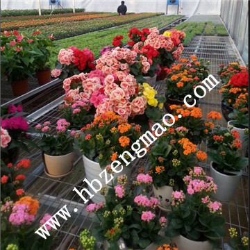 <a href='/' target='_blank'><a href='/' target='_blank'>溫室苗床</a>網(wǎng)</a>廠(chǎng)家 <a href='/' target='_blank'><a href='/' target='_blank'>溫室苗床</a>網(wǎng)</a>廠(chǎng)家